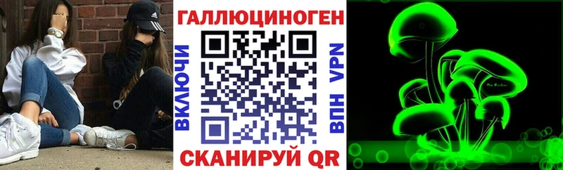 как найти закладки  Щёкино  Псилоцибиновые грибы Cubensis 